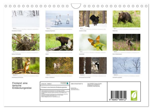 Produktbild: Finnland: eine tierische Entdeckungsreise (Wandkalender 2026 DIN A4 quer), CALVENDO Monatskalender