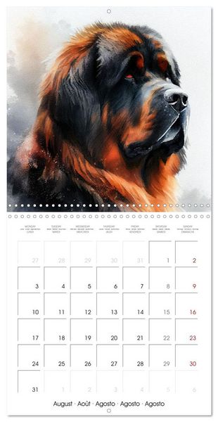 Produktbild: Artistic Dog Breeds (Wall Calendar 2026 12 &times; 12 Inch) CALVENDO 12 Month Wall Calendar