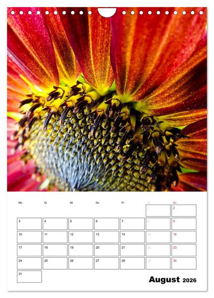 Produktbild: Strahlende Sonnenblumen (Wandkalender 2026 DIN A4 hoch), CALVENDO Monatskalender