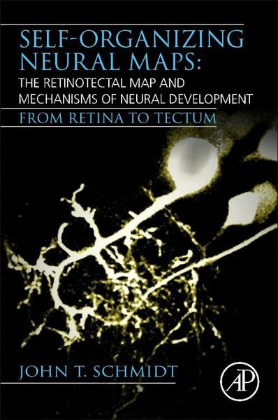 Produktbild: Schmidt, J: Self-Organizing Neural Maps: The Retinotectal Ma