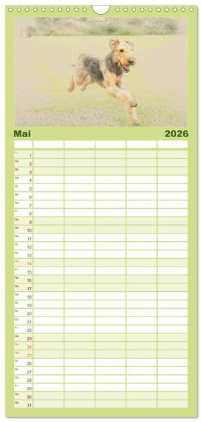 Produktbild: Familienplaner 2026 - Airedale Terrier 2026 mit 5 Spalten (Wandkalender, 21 x 45 cm) CALVENDO