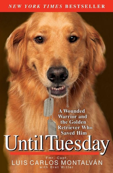 Produktbild: Until Tuesday