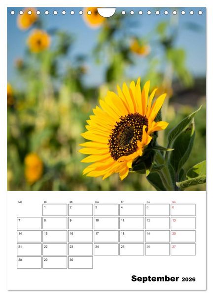 Produktbild: Farben der Natur (Wandkalender 2026 DIN A4 hoch), CALVENDO Monatskalender