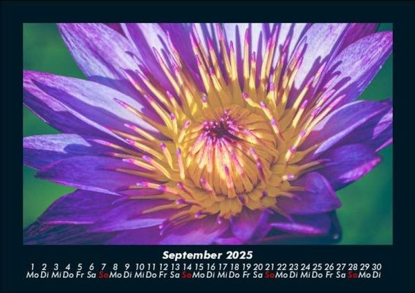 Produktbild: Blumentr&auml;ume 2025 Fotokalender DIN A5