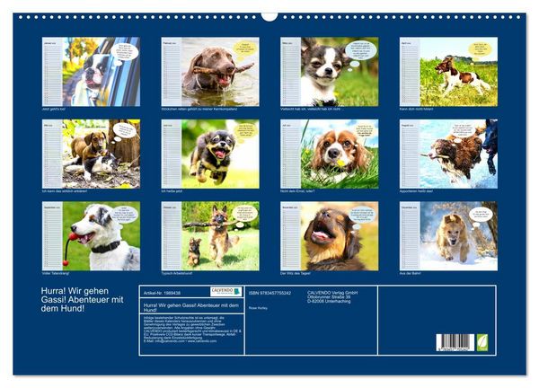 Produktbild: Hurra! Wir gehen Gassi! Abenteuer mit dem Hund! (Wandkalender 2026 DIN A2 quer), CALVENDO Monatskalender