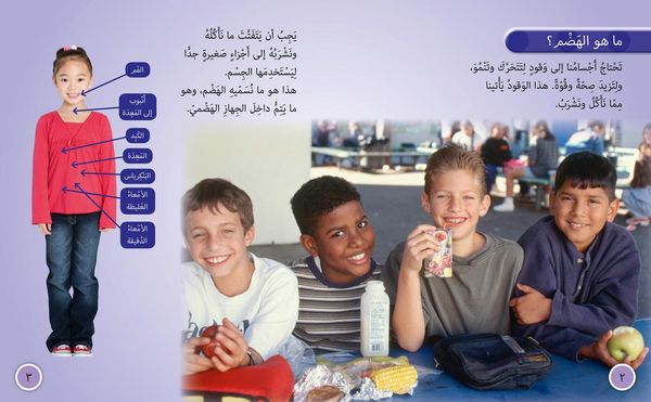 Produktbild: The Digestive System