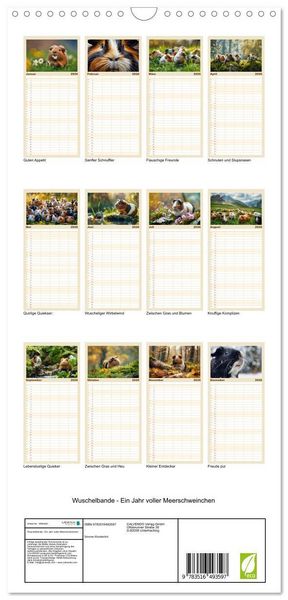 Produktbild: Familienplaner 2026 - Wuschelbande - Ein Jahr voller Meerschweinchen mit 5 Spalten (Wandkalender, 21 x 45 cm) CALVENDO