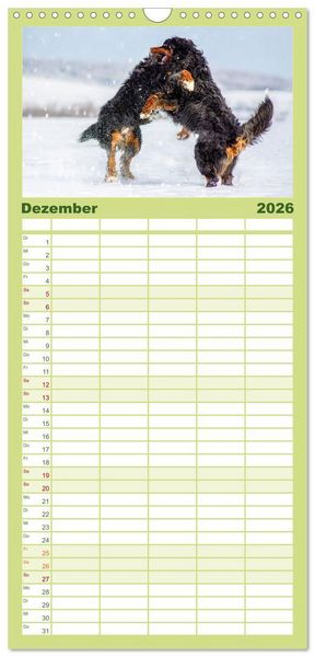 Produktbild: Familienplaner 2026 - Berner Sennenhunde - Traumhunde mit Charme mit 5 Spalten (Wandkalender, 21 x 45 cm) CALVENDO