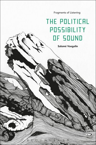 Produktbild: The Political Possibility of Sound
