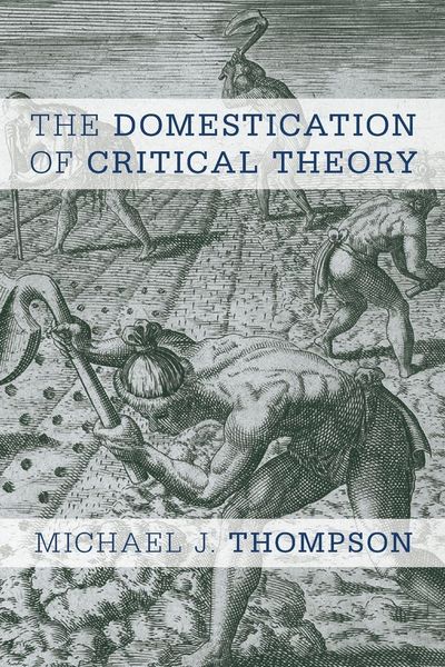 Produktbild: Domestication of Critical Theory