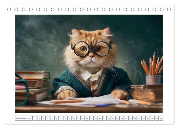 Produktbild: Miau mit Stil (Tischkalender 2026 DIN A5 quer), CALVENDO Monatskalender