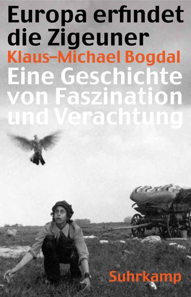 Produktbild: Europa erfindet die Zigeuner