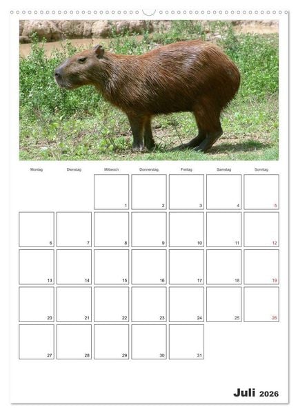 Produktbild: Venezuela - Land der Kontraste (hochwertiger Premium Wandkalender 2026 DIN A2 hoch), Kunstdruck in Hochglanz