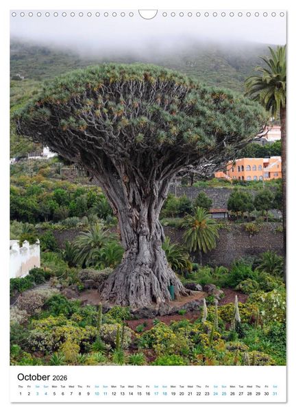 Produktbild: Tenerife - The volcanic island (Wall Calendar 2026 DIN A3 portrait), CALVENDO 12 Month Wall Calendar