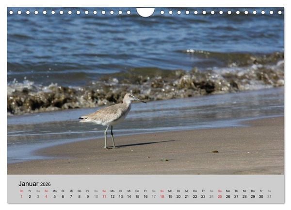 Produktbild: Costa Rica (Wandkalender 2026 DIN A4 quer), CALVENDO Monatskalender