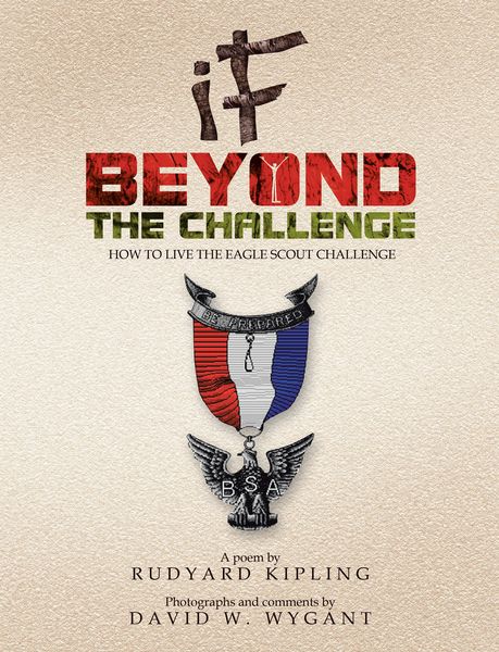 Produktbild: IF - Beyond the Challenge