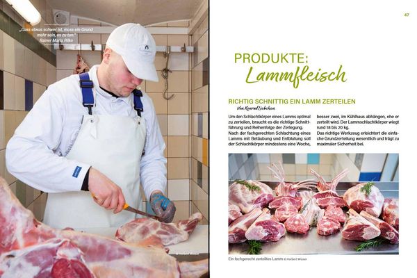 Produktbild: Alles vom Schaf!
