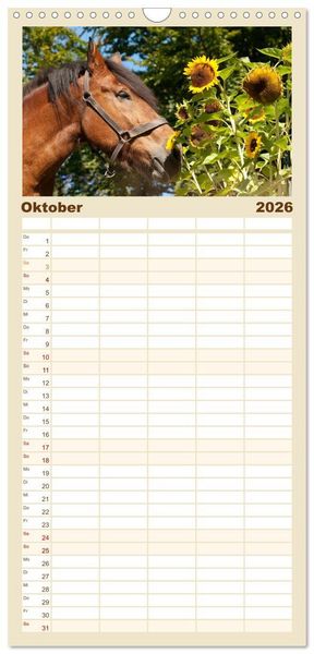 Produktbild: Familienplaner 2026 - Kaltblut - schwere Pferde mit Herz mit 5 Spalten (Wandkalender, 21 x 45 cm) CALVENDO