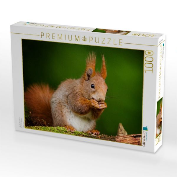 Produktbild: CALVENDO Puzzle Das Eichh&ouml;rnchen | 1000 Teile Lege-Gr&ouml;&szlig;e 64x48cm Foto-Puzzle f&uuml;r gl&uuml;ckliche Stunden