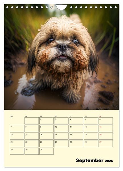 Produktbild: Shih Tzu Alarm. Gl&uuml;ckliche Wuschelk&ouml;pfe (Wandkalender 2026 DIN A4 hoch), CALVENDO Monatskalender