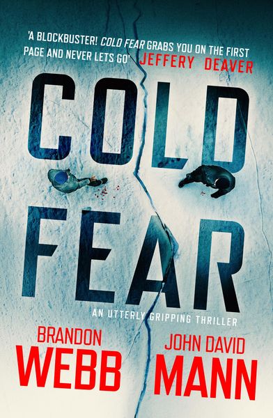 Produktbild: Cold Fear