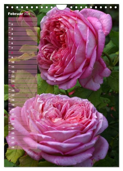 Produktbild: Rosen f&uuml;r DICH / Geburtstagskalender (Wandkalender 2026 DIN A4 hoch), CALVENDO Monatskalender