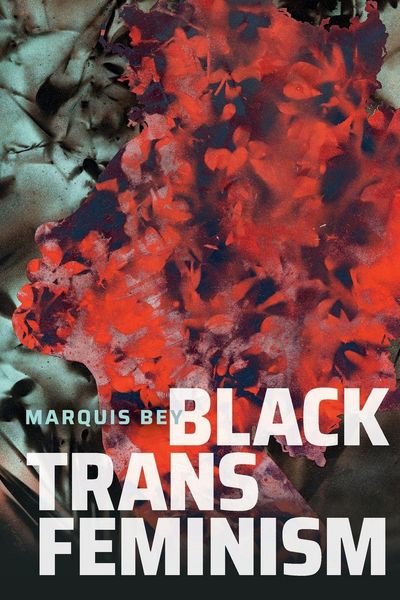 Produktbild: Black Trans Feminism