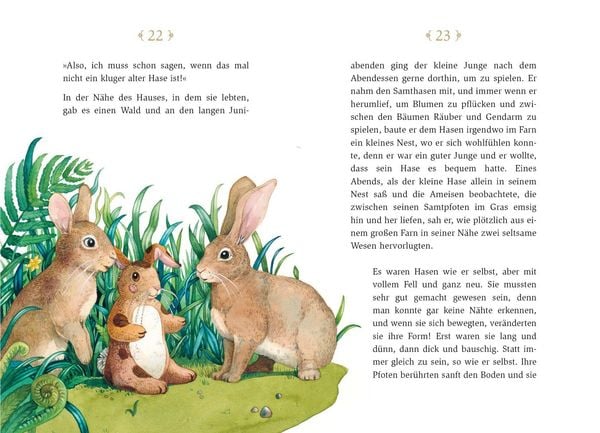 Produktbild: Der kleine Schmusehase