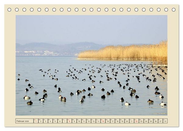 Produktbild: Impressionen vom sch&ouml;nen Bodensee (Tischkalender 2026 DIN A5 quer), CALVENDO Monatskalender