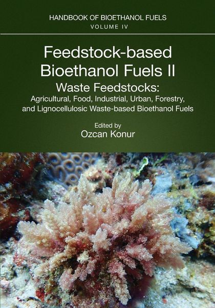 Produktbild: Feedstock-based Bioethanol Fuels. II. Waste Feedstocks