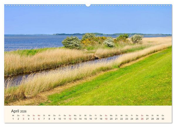 Produktbild: Ummanz - Naturparadies in der R&uuml;gener Boddenlandschaft (Wandkalender 2026 DIN A2 quer), CALVENDO Monatskalender