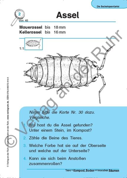 Produktbild: Tiere in Kompost, Boden und morschen B&auml;umen