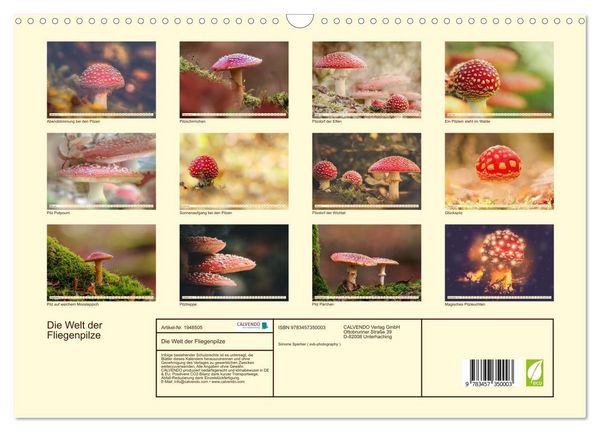 Produktbild: Die Welt der Fliegenpilze (Wandkalender 2026 DIN A3 quer), CALVENDO Monatskalender