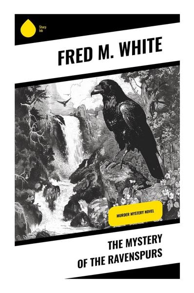 Produktbild: The Mystery of the Ravenspurs