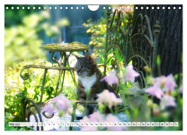 Produktbild: Momente im Garten (Wandkalender 2027 DIN A4 quer), CALVENDO Monatskalender
