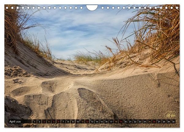 Produktbild: Nordsee-D&uuml;nen (Wandkalender 2026 DIN A4 quer), CALVENDO Monatskalender