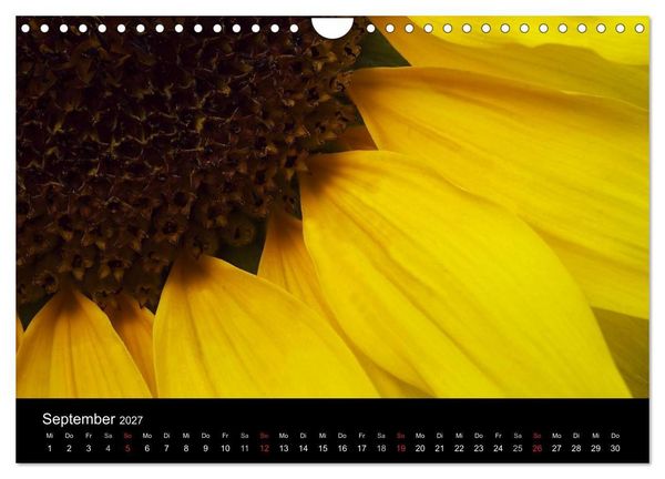 Produktbild: Blumige Farben (Wandkalender 2027 DIN A4 quer), CALVENDO Monatskalender