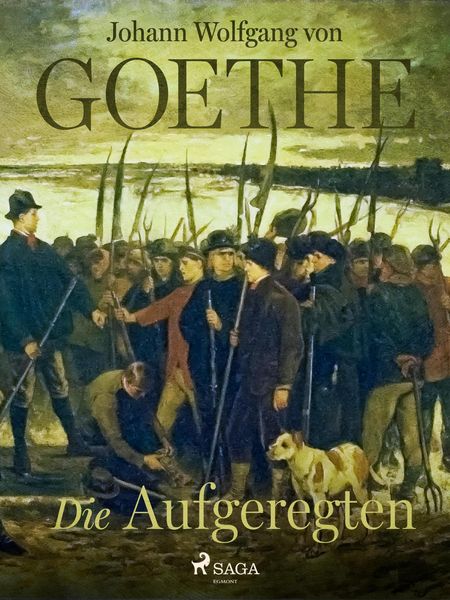 Produktbild: Die Aufgeregten