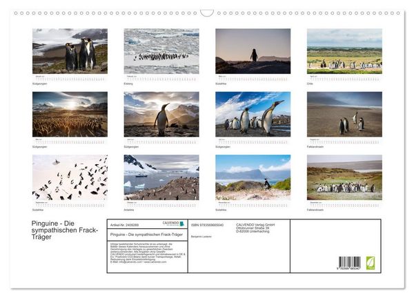 Produktbild: Pinguine - Die sympathischen Frack-Tr&auml;ger (Wandkalender 2027 DIN A2 quer), CALVENDO Monatskalender