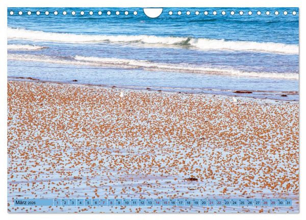 Produktbild: Bretagne und Normandie - Vor der Flut beobachten und entdecken (Wandkalender 2026 DIN A4 quer), CALVENDO Monatskalender