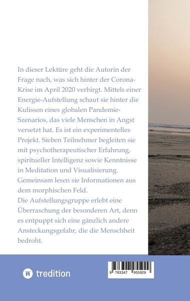 Produktbild: Was steckt hinter der Corona-Krise?