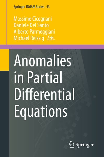 Produktbild: Anomalies in Partial Differential Equations