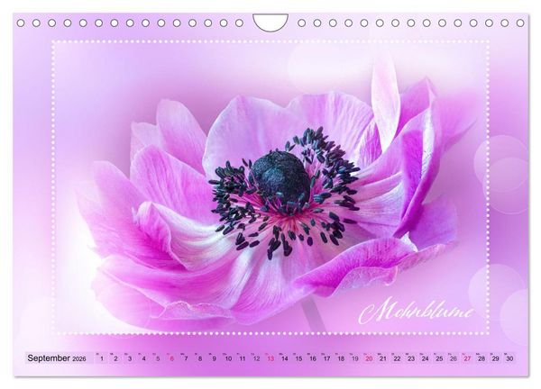 Produktbild: Bl&uuml;tenbouquet (Wandkalender 2026 DIN A4 quer), CALVENDO Monatskalender