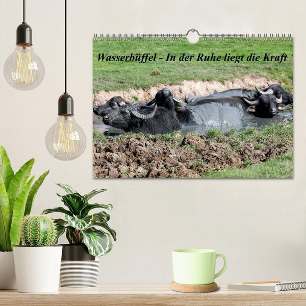 Produktbild: Wasserb&uuml;ffel - In der Ruhe liegt die Kraft (Wandkalender 2026 DIN A4 quer), CALVENDO Monatskalender