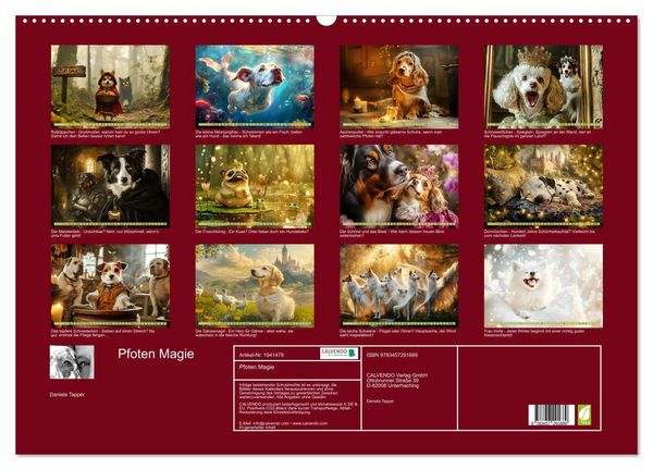 Produktbild: Pfoten Magie (Wandkalender 2026 DIN A2 quer), CALVENDO Monatskalender