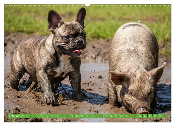 Produktbild: Muddi Buddies &ndash; Freundschaft im Matsch (hochwertiger Premium Wandkalender 2026 DIN A2 quer), Kunstdruck in Hochglanz