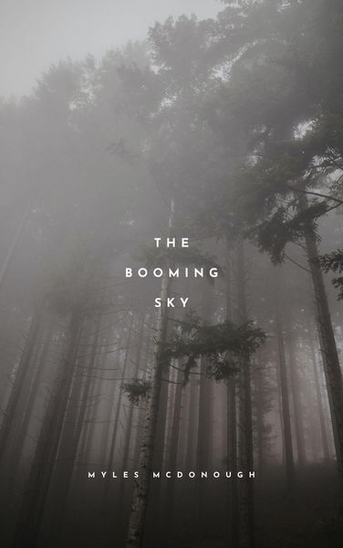 Produktbild: The Booming Sky