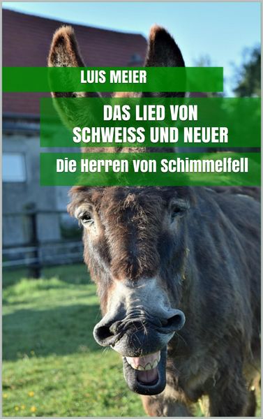 Produktbild: Das Lied von Schwei&szlig; und Neuer