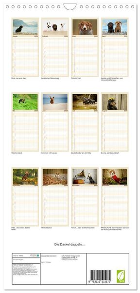 Produktbild: Familienplaner 2026 - Die Dackel daggeln.... mit 5 Spalten (Wandkalender, 21 x 45 cm) CALVENDO