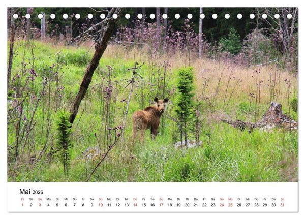 Produktbild: Schweden - V&auml;rmland (Tischkalender 2026 DIN A5 quer), CALVENDO Monatskalender